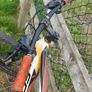 bike Image 3