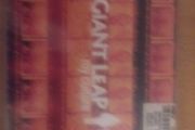 1 Giant Leap-my culture