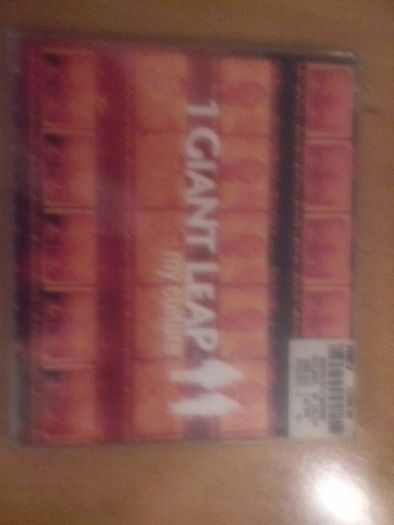1 Giant Leap-my culture