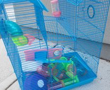 hamster cage
