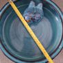 Bird Bath Image 5