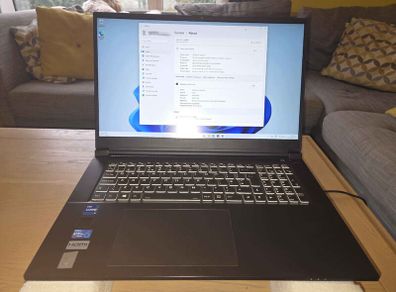 RTX 3060 i7 Laptop 32GB Ram
