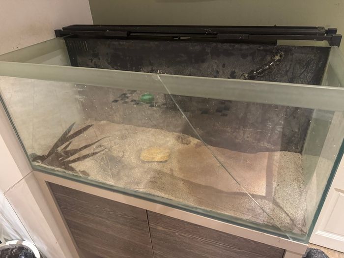 Large glass tank with matching storage cabinet stand