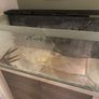 Large glass tank with matching storage cabinet stand Image 4