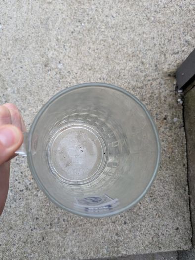 Vintage Harp Pint Glass