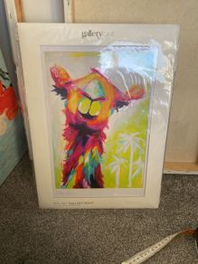 picture bright
