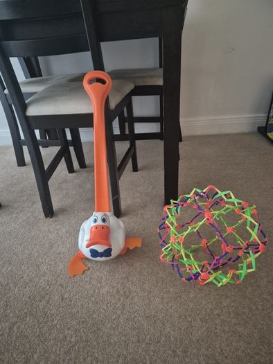 push & pull toys