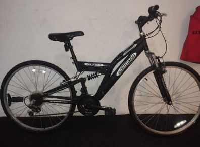boys 24inch bike