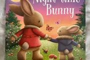 Night-time Bunny