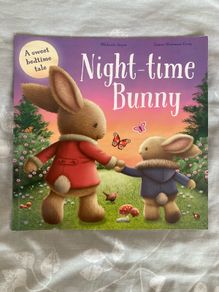 Night-time Bunny