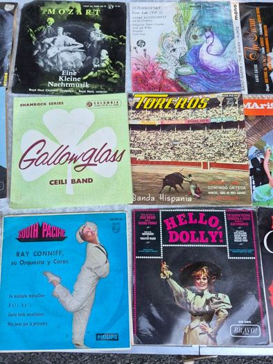 20 small Vinyl records