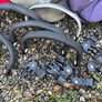 Bugaboo cameleon and donkey bumper bars Image 6