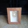 'Sea Star' Image 4