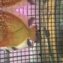 Fish Tank Image 2