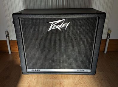 Peavey 1x12 Speaker Cab