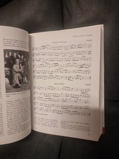 Companion to Irish Traditional Music (Hardback)