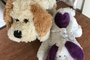 Very Soft Lying Dogs