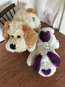 Very Soft Lying Dogs