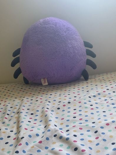 spider teddy