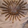 Vintage Humeral Veil Image 3