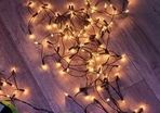Wired Warm White / Gold Static Indoor Christmas Lights