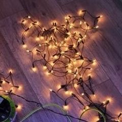 Wired Warm White / Gold Static Indoor Christmas Lights