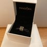 Pandora silver gift box Image 3