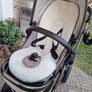 EGG3 Complete Travel System Image 4