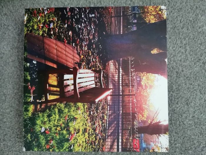 photo adhesive tiles