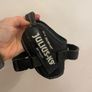 Julius dog collar size small Image 2