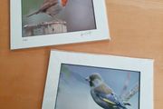 John Griffin photographs (BN)