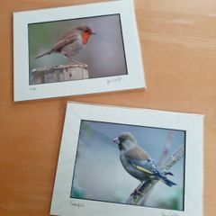 John Griffin photographs (BN)