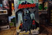 Batman ! Issue #703 !  A Prelude to Bruce Wayne Road Home ! 2010 ! by DC Comics !