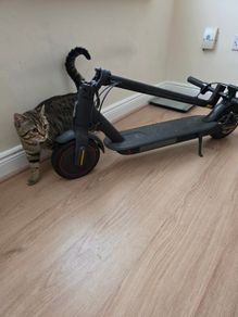 E-Scooter for sale