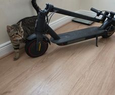 E-Scooter for sale