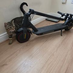 E-Scooter for sale