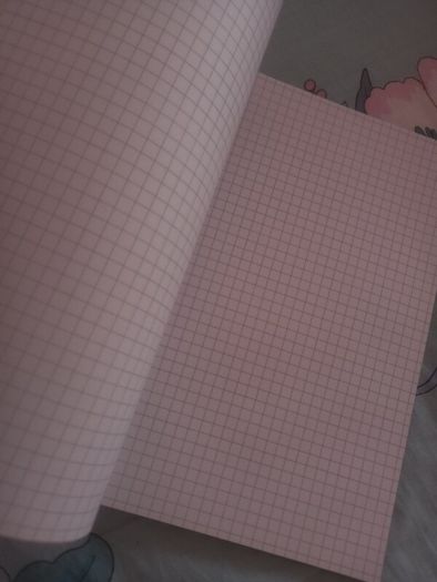Diary