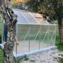 Greenhouse Image 6