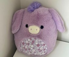Election of soft toys