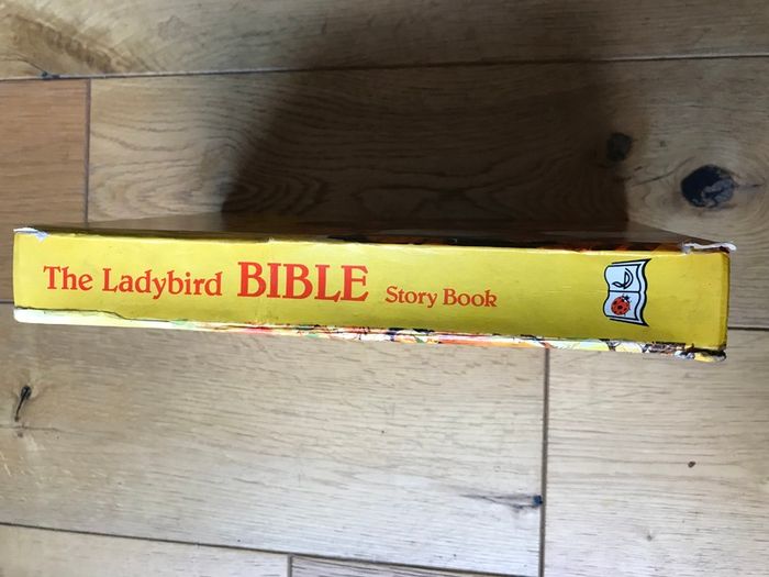 The Ladybird Bible Story Book