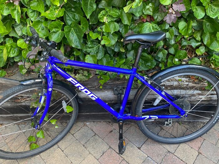 Frog Bike