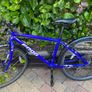 Frog Bike Image 2