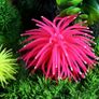 Soft Colorful Artificial Silicone Coral Fish Tank Aquarium Decoration Image 2