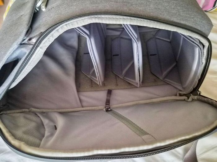 Peak Design Everyday Backpack 20L V1 (Ash Colour)