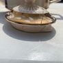 Saddler Teapot (Please Read) Image 7