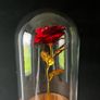 24k Gold Rose Image 6