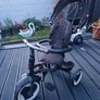 outdoor Image 7