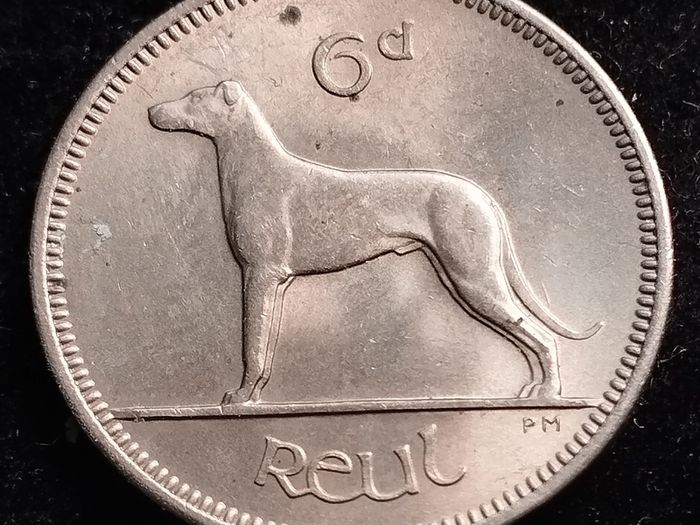 Ireland - 1961 - 6 Pence - AU - KM.13a - [2787]