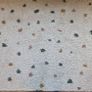 Rug Image 6