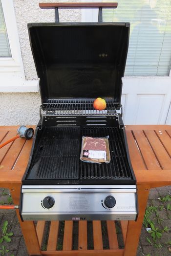 2 Burner Gas BBQ Firefly Eclipse 200